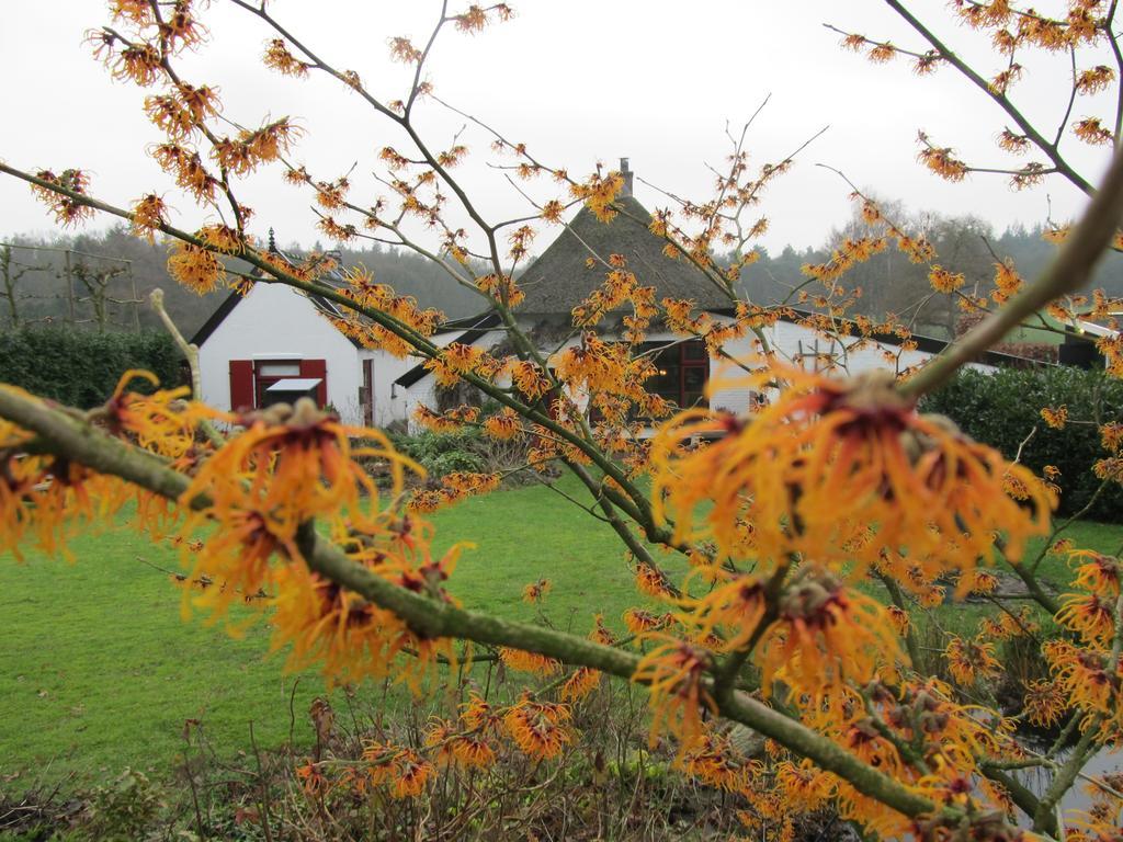 Loenen B&B Het Bakhuis الغرفة الصورة